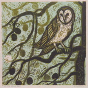 Owl with Waxing Moon, 22/30
