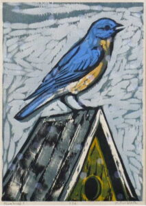 Bluebird 1, 25/30