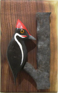 Woodpecker on a Branch