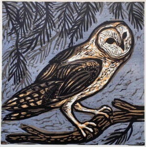 Amorous Owl, 1/30