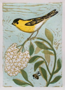 Goldfinch Bloom 2, 24/30