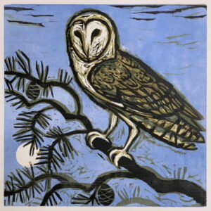 Owl with Full Moon, 28/30