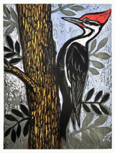 Woodpecker, 1/30