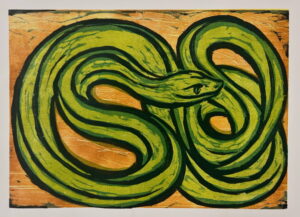Smiley Snake, 1/30