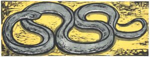 Black Snake, 8/30