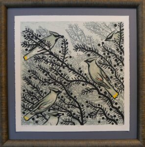 Waxwings in a Juniper, 2/30