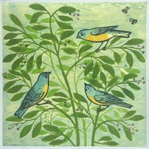 Bluebirds & Berries, 3/30