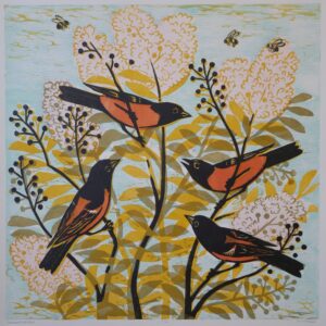 Orchard Orioles, 17/30