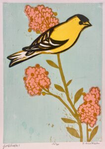 Goldfinch 1, 8/30