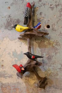 5 Birds on Driftwood