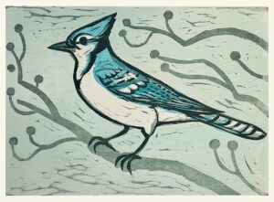 Bluejay, 1/30
