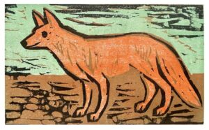 Coy Dog, 1/30
